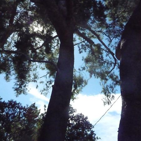 Woodland Hills Calabasas Guesthouses Λος Άντζελες Εξωτερικό φωτογραφία