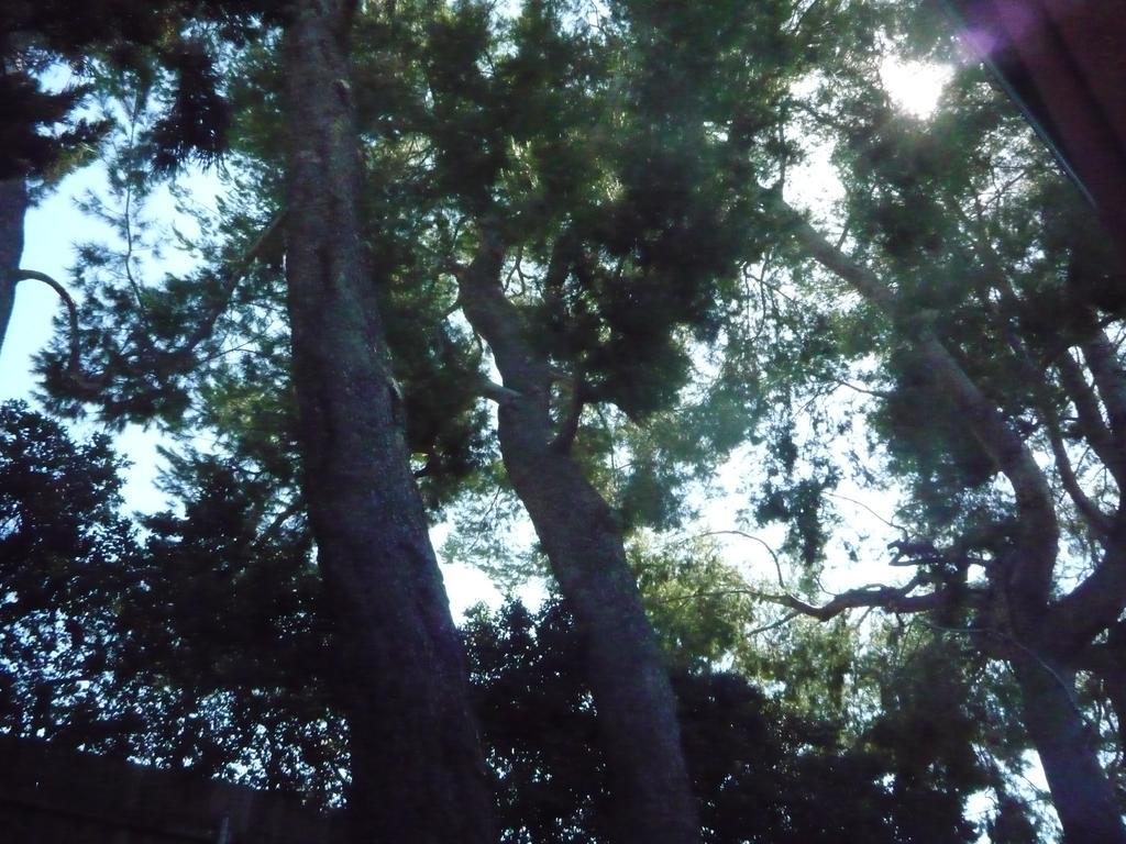Woodland Hills Calabasas Guesthouses Λος Άντζελες Εξωτερικό φωτογραφία