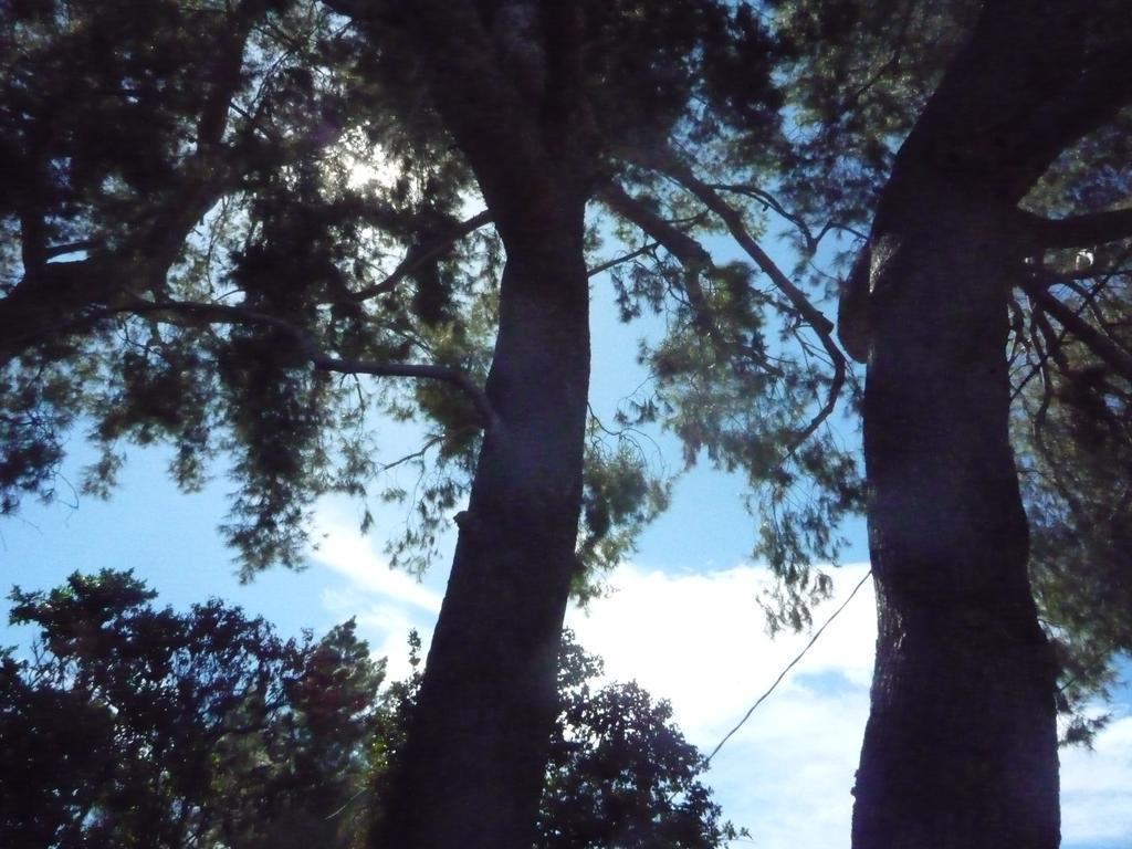 Woodland Hills Calabasas Guesthouses Λος Άντζελες Εξωτερικό φωτογραφία